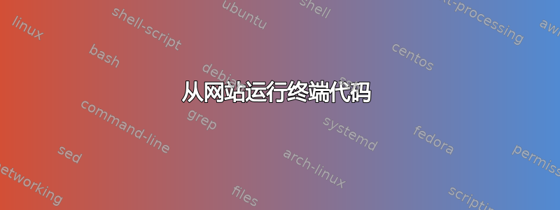 从网站运行终端代码