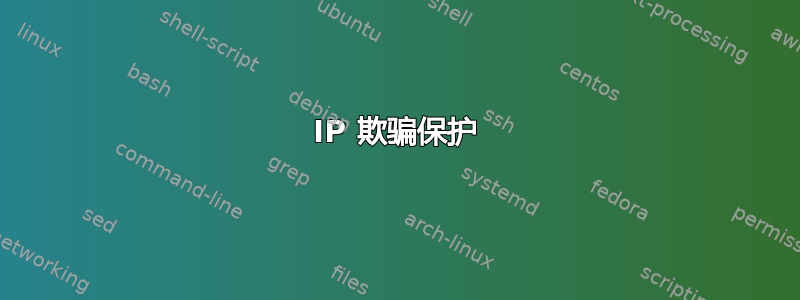 IP 欺骗保护