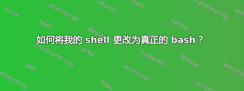 如何将我的 shell 更改为真正的 bash？