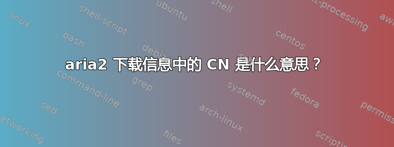 aria2 下载信息中的 CN 是什么意思？