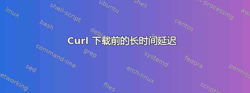 Curl 下载前的长时间延迟 