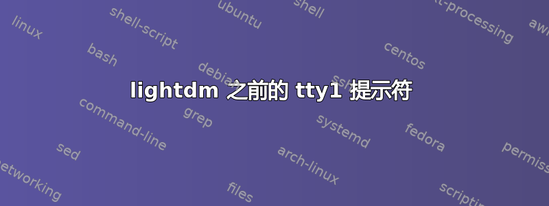 lightdm 之前的 tty1 提示符