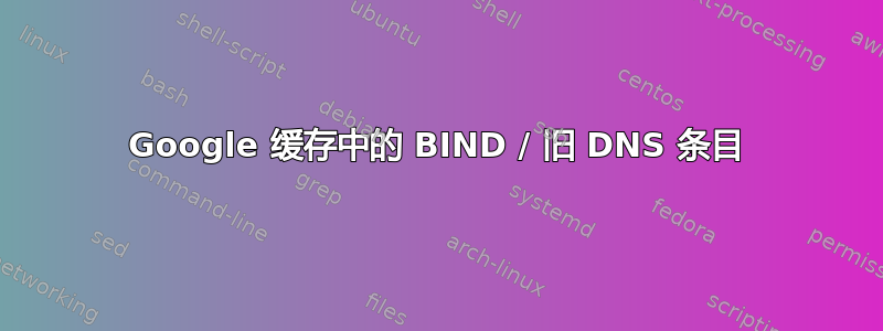 Google 缓存中的 BIND / 旧 DNS 条目