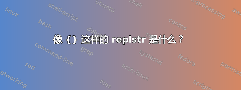 像 {} 这样的 replstr 是什么？