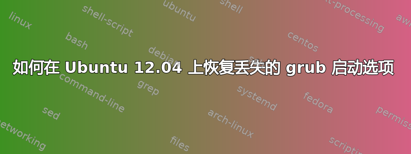 如何在 Ubuntu 12.04 上恢复丢失的 grub 启动选项