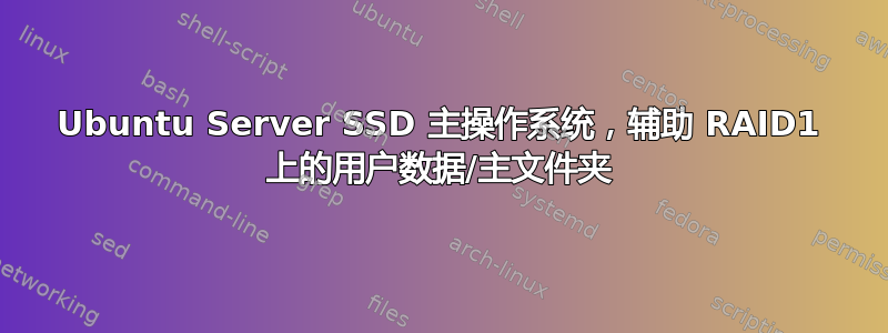 Ubuntu Server SSD 主操作系统，辅助 RAID1 上的用户数据/主文件夹