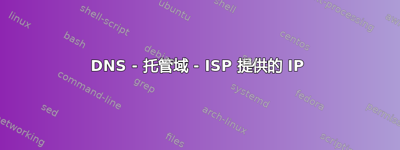 DNS - 托管域 - ISP 提供的 IP