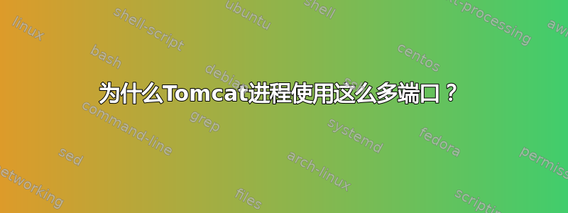 为什么Tomcat进程使用这么多端口？