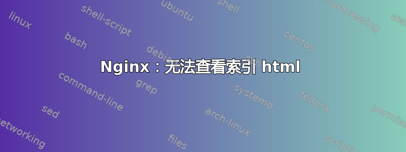 Nginx：无法查看索引 html