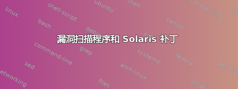 漏洞扫描程序和 Solaris 补丁