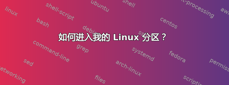 如何进入我的 Linux 分区？