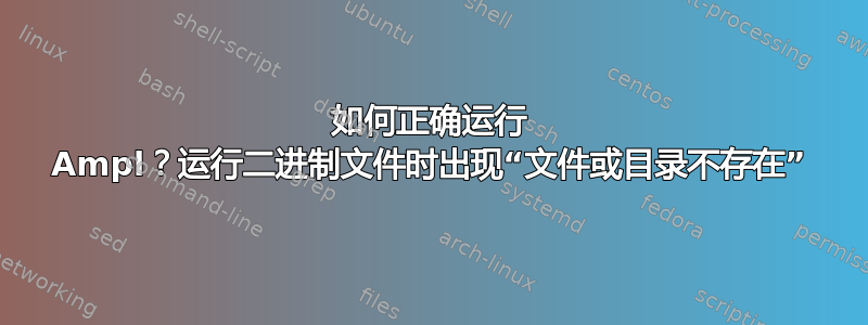 如何正确运行 Ampl？运行二进制文件时出现“文件或目录不存在”