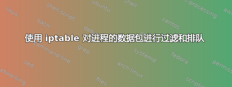 使用 iptable 对进程的数据包进行过滤和排队