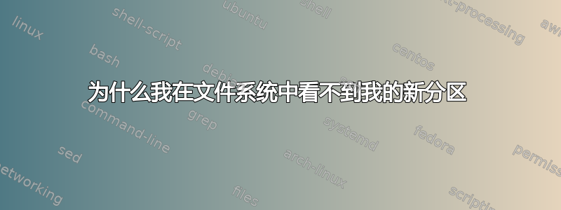 为什么我在文件系统中看不到我的新分区