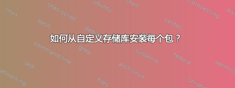 如何从自定义存储库安装每个包？