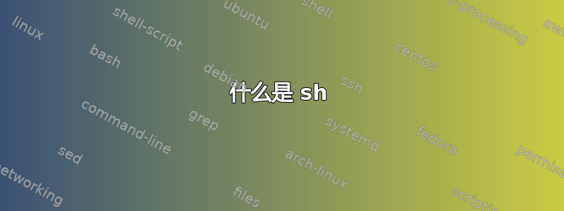 什么是 sh