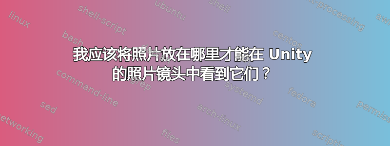 我应该将照片放在哪里才能在 Unity 的照片镜头中看到它们？