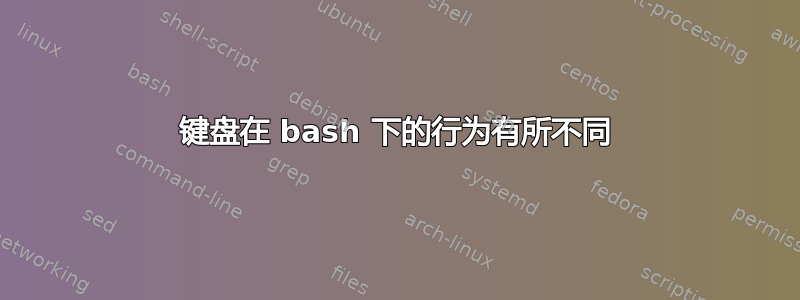 键盘在 bash 下的行为有所不同