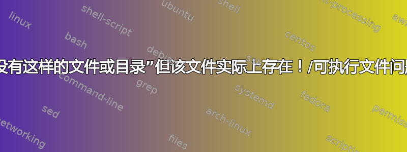 “没有这样的文件或目录”但该文件实际上存在！/可执行文件问题