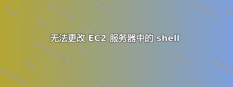 无法更改 EC2 服务器中的 shell