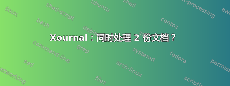 Xournal：同时处理 2 份文档？