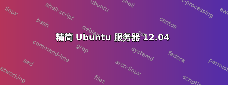 精简 Ubuntu 服务器 12.04