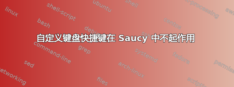 自定义键盘快捷键在 Saucy 中不起作用