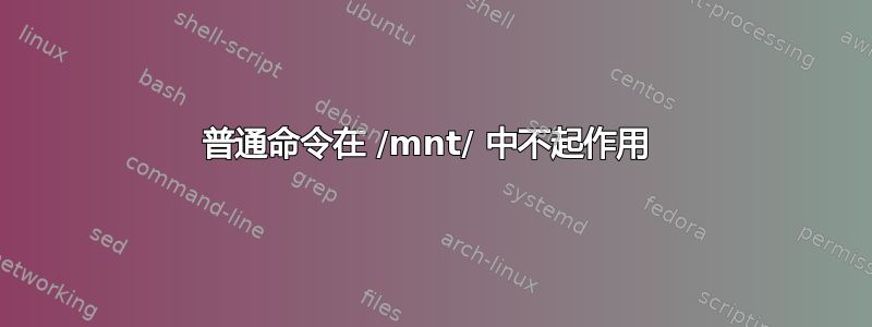 普通命令在 /mnt/ 中不起作用 