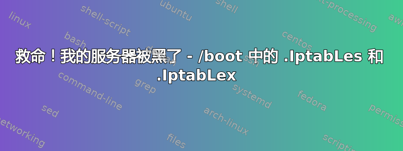 救命！我的服务器被黑了 - /boot 中的 .IptabLes 和 .IptabLex 