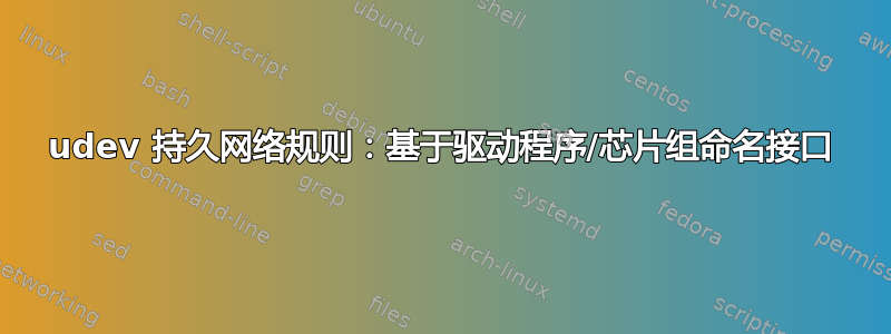 udev 持久网络规则：基于驱动程序/芯片组命名接口