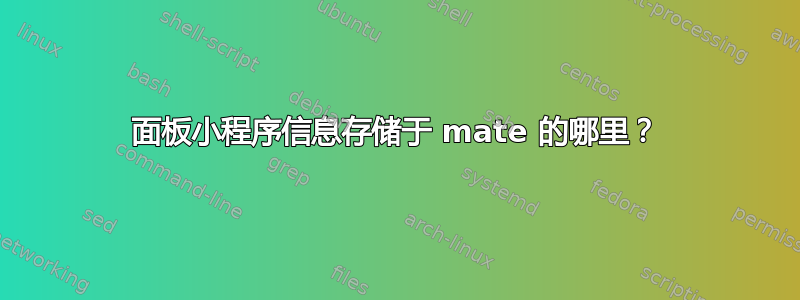 面板小程序信息存储于 mate 的哪里？