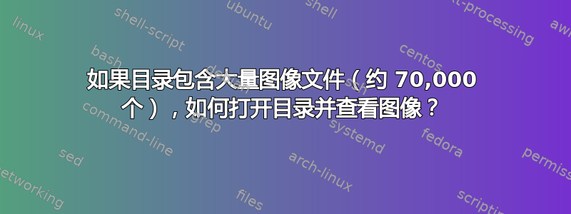 如果目录包含大量图像文件（约 70,000 个），如何打开目录并查看图像？