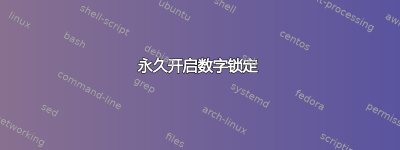 永久开启数字锁定