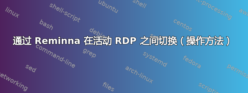 通过 Reminna 在活动 RDP 之间切换（操作方法）