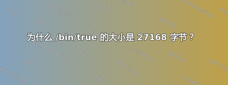 为什么 /bin/true 的大小是 27168 字节？ 