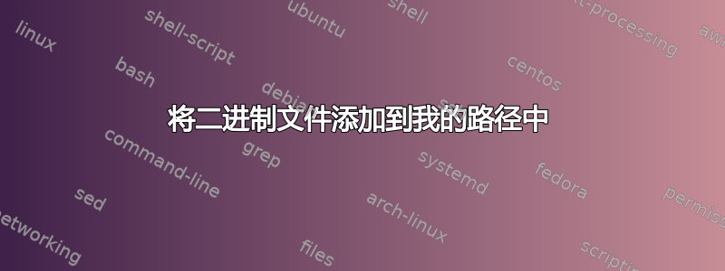 将二进制文件添加到我的路径中