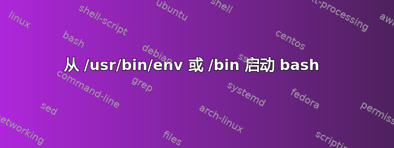 从 /usr/bin/env 或 /bin 启动 bash 