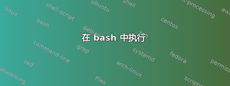 在 bash 中执行