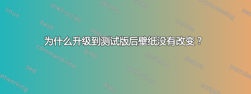 为什么升级到测试版后壁纸没有改变？