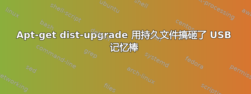 Apt-get dist-upgrade 用持久文件搞砸了 USB 记忆棒