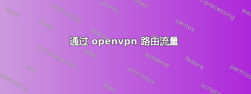 通过 openvpn 路由流量