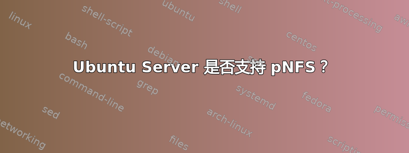 Ubuntu Server 是否支持 pNFS？