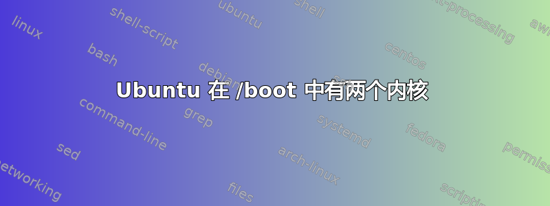 Ubuntu 在 /boot 中有两个内核