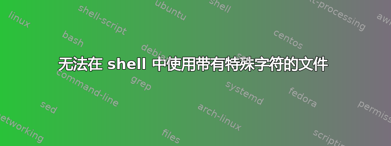 无法在 shell 中使用带有特殊字符的文件