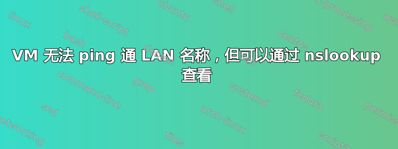 VM 无法 ping 通 LAN 名称，但可以通过 nslookup 查看