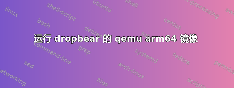 运行 dropbear 的 qemu arm64 镜像