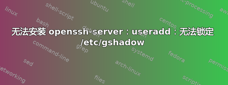 无法安装 openssh-server：useradd：无法锁定 /etc/gshadow