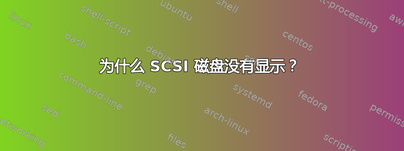 为什么 SCSI 磁盘没有显示？