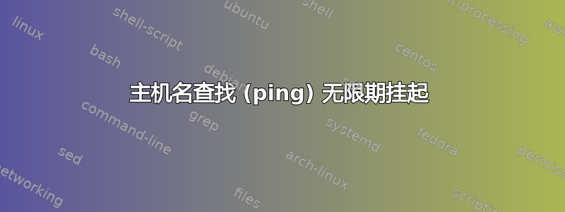 主机名查找 (ping) 无限期挂起