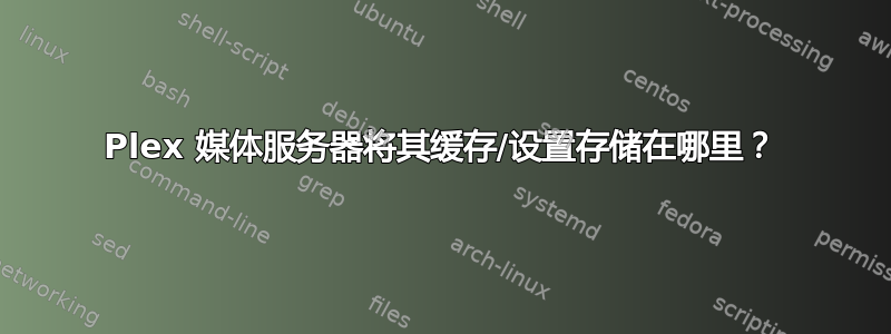 Plex 媒体服务器将其缓存/设置存储在哪里？